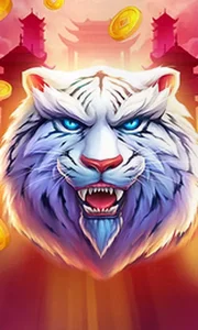 Luck of Tiger
